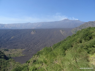 nte Rinatu-15-09-2019 11-09-52